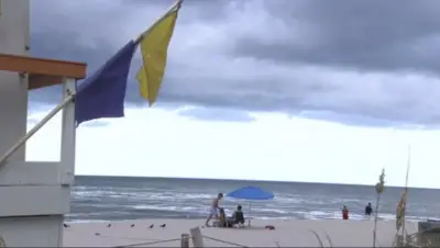 Man seriously injured after shark bite to his torso at Hollywood beach