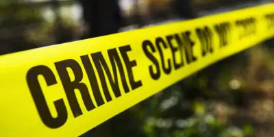 DeKalb Police investigating after dead dogs dumped in Henderson Park