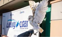 Dine by the sea with sharks, snakes and jellyfish at August’s ‘Farm to Bay’ bash