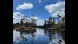Georgia Rivers to host celebratory gala in September