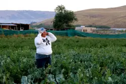 Farmers push for reform as Trump’s immigration crackdown continues