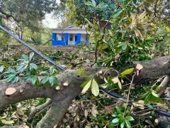 Volunteer organizations aid in Hurricane Helene recovery